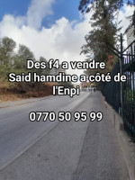 appartement-vente-f4-alger-said-hamdine-algerie