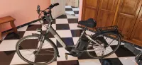Vélo électrique giant 