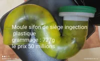 Moule Sifon de siege injection plastic 