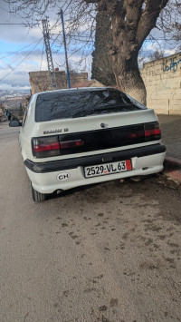 voitures-renault-19-1994-souk-ahras-algerie