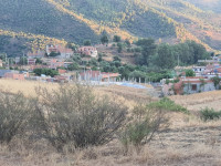 terrain-vente-bouira-kadiria-algerie