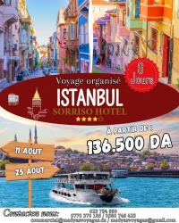 Voyage organisée ISTANBUL