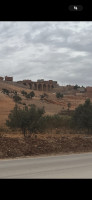 terrain-vente-mascara-algerie