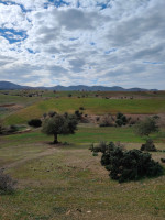 terrain-agricole-vente-ain-defla-djelida-algerie