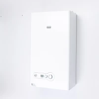 Chaudiere RIELLO 24 kw 