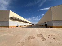 hangar-location-oran-hassi-bounif-algerie