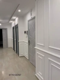 Peintre professionnel