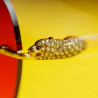 Cartier panthère 