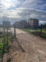 terrain-vente-alger-birtouta-algerie