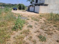 أرض-بيع-الجزائر-العاشور