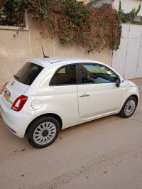 voitures-fiat-500-2024-dolce-vita-dz-tlemcen-algerie