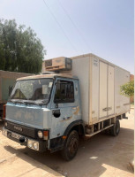 camion-fiat-iveco-1990-les-eucalyptus-alger-algerie