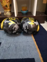Gants de boxe 