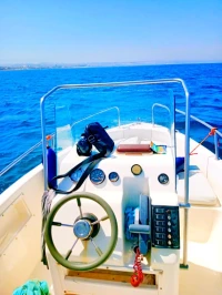 Yamaha 115 Polyor 5.20 2006