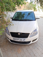 voitures-skoda-fabia-2014-fresh-ghardaia-algerie