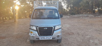 fourgonnette-gonow-mini-truck-double-cabine-2014-sidi-ali-mostaganem-algerie