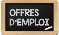 commercial-marketing-offre-demploi-pour-les-etudiants-douera-alger-algerie