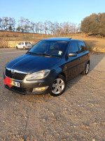 voitures-skoda-fabia-2014-fresh-reghaia-alger-algerie