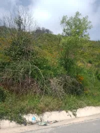 Vente Terrain Tizi Ouzou Ain el hammam