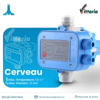  Cerveau de Pompe à Eau ( VITTORIA SK10 )