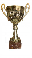 articles-de-sport-trophee-coupe-dore-10cm-x-34-cm-kouba-alger-algerie