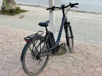 Boshe Winora tera 8 2021