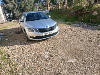 voitures-skoda-octavia-2019-business-irdjen-tizi-ouzou-algerie