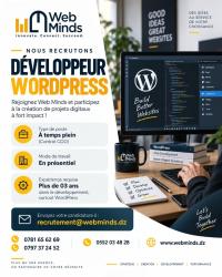 معلوماتية-و-أنترنت-developpeur-wordpress-بئر-مراد-رايس-الجزائر