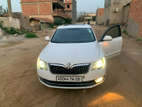 voitures-skoda-superb-2014-elegance-meftah-blida-algerie