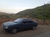 utilitaire-peugeot-405-1989-merouana-batna-algerie