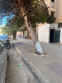 Vente Appartement F2 Oran Arzew