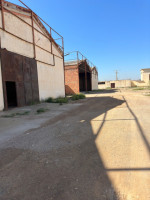 hangar-location-oran-ben-freha-algerie