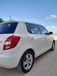 سيارات-skoda-fabia-2014-fresh-البرواقية-المدية-الجزائر