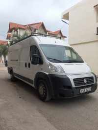 fourgon-fiat-ducato-maxi-2013-beni-tamou-blida-algerie