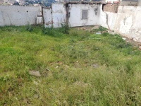 Vente Terrain Alger El biar