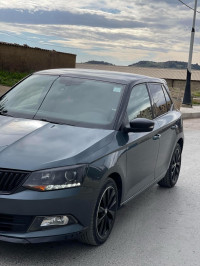 voitures-skoda-fabia-2018-monte-carlo-medea-algerie