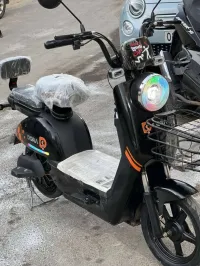 Dora Gtu 2024