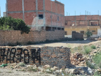 terrain-vente-mascara-zahana-algerie