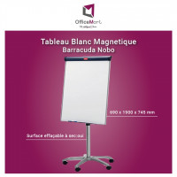 bureautique-internet-tableau-blanc-magnetique-barracuda-nobo-mohammadia-alger-algerie