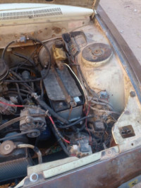 utilitaire-peugeot-504-1981-bir-el-ater-tebessa-algerie