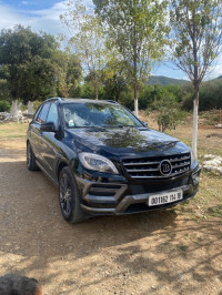 voitures-mercedes-ml-2014-bir-mourad-rais-alger-algerie