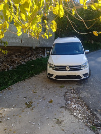 utilitaire-volkswagen-caddy-2017-altrack-irdjen-tizi-ouzou-algerie