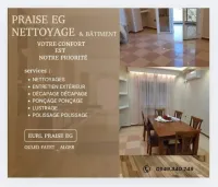 SOCIÉTÉ NETTOYAGE & BÂTIMENT 