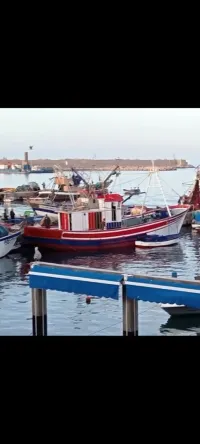 Sardinier