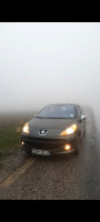 citadine-peugeot-207-2007-mila-algerie