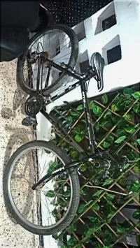 MTV HAM vtt 2025