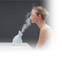 Spa facial steamer 