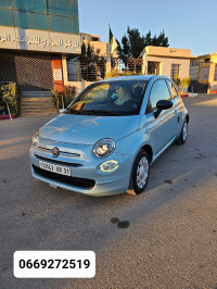 voitures-fiat-500-2024-cult-remchi-tlemcen-algerie