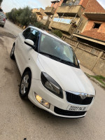 voitures-skoda-fabia-2014-fresh-boumerdes-algerie