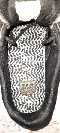 Chaussure Dragon Beard